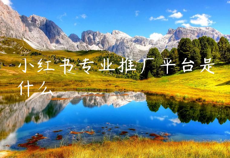 小红书专业推广平台是什么 小红书专业推广平台是什么