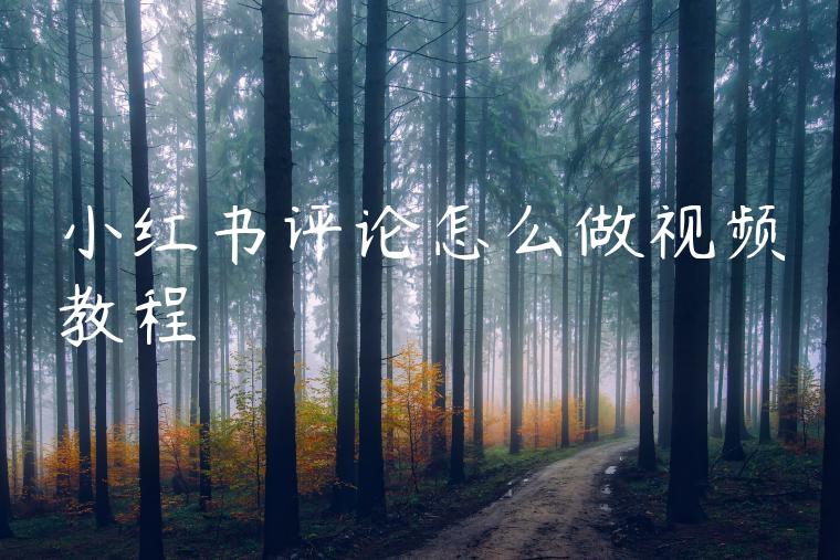 小红书评论怎么做视频教程 小红书评论怎么做视频教程