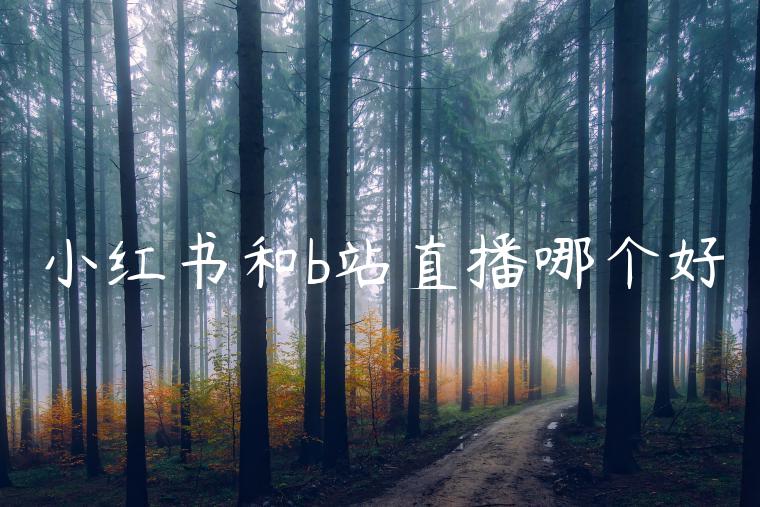 小红书和b站直播哪个好