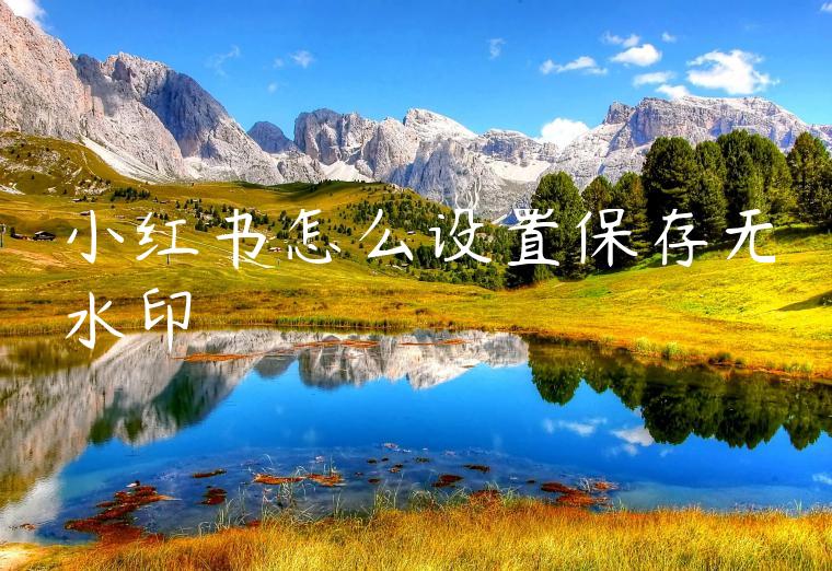 小红书怎么设置保存无水印 小红书怎么设置保存无水印