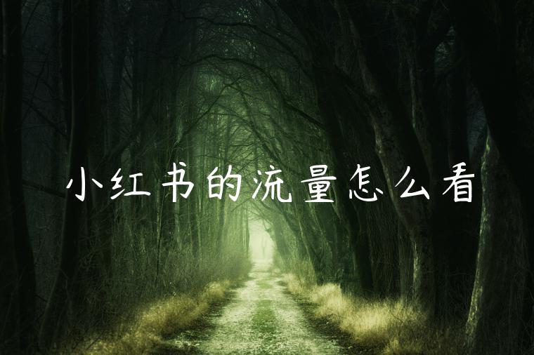 小红书的流量怎么看