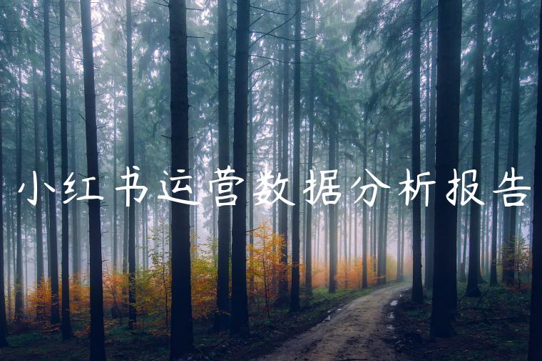 小红书运营数据分析报告 小红书运营数据分析报告