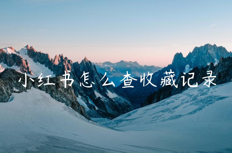 小红书怎么查收藏记录 小红书怎么查收藏记录