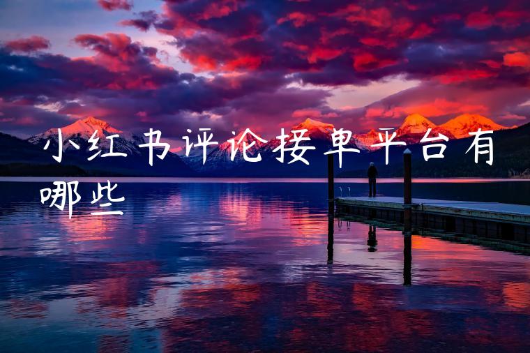 小红书评论接单平台有哪些