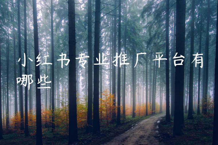 小红书专业推广平台有哪些 小红书专业推广平台有哪些