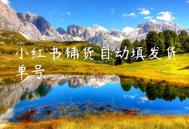 小红书铺货自动填发货单号