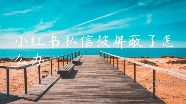 小红书私信被屏蔽了怎么办 小红书私信被屏蔽了怎么办