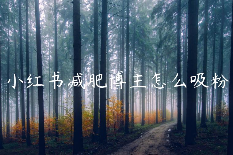 小红书减肥博主怎么吸粉