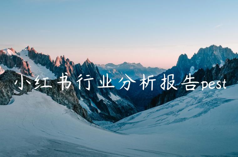 小红书行业分析报告pest