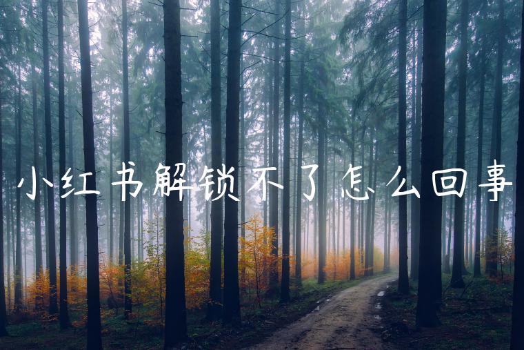 小红书解锁不了怎么回事 小红书解锁不了怎么回事