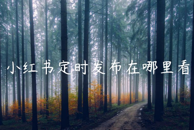 小红书定时发布在哪里看