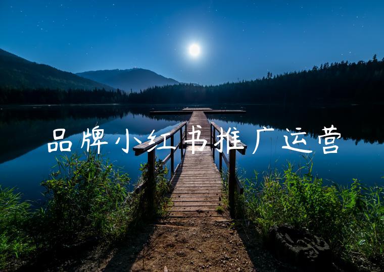 品牌小红书推广运营 品牌小红书推广运营