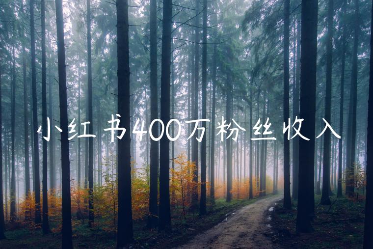 小红书400万粉丝收入