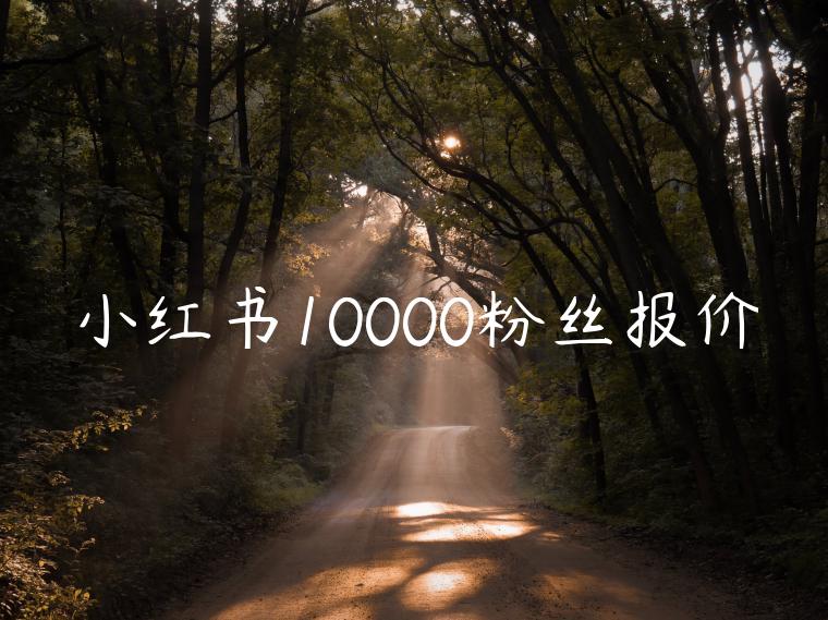 小红书10000粉丝报价
