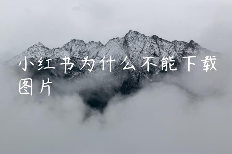 小红书为什么不能下载图片 小红书为什么不能下载图片