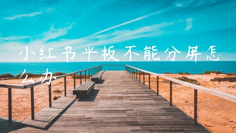 小红书平板不能分屏怎么办