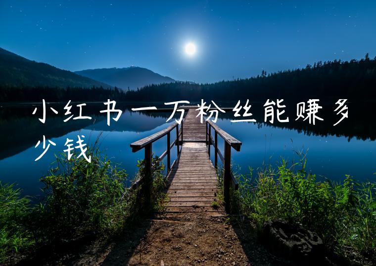 小红书一万粉丝能赚多少钱