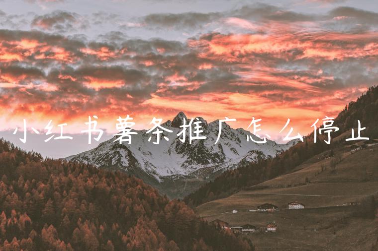 小红书薯条推广怎么停止