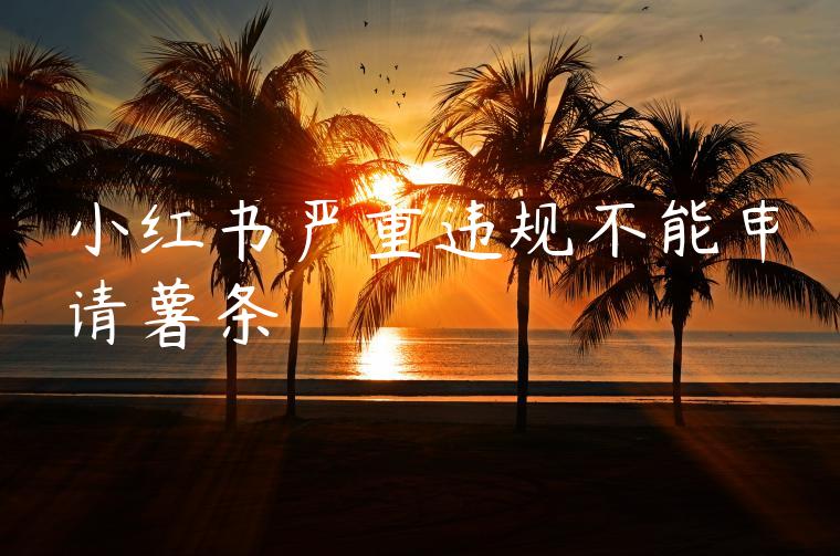 小红书严重违规不能申请薯条 小红书严重违规不能申请薯条