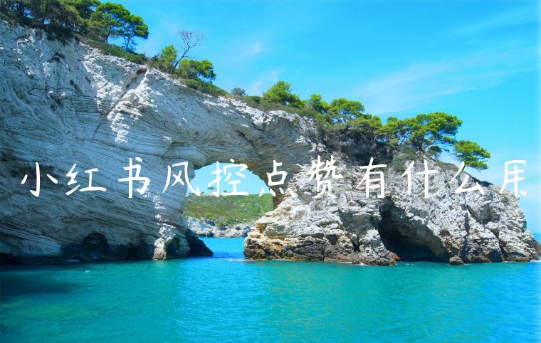 小红书风控点赞有什么用