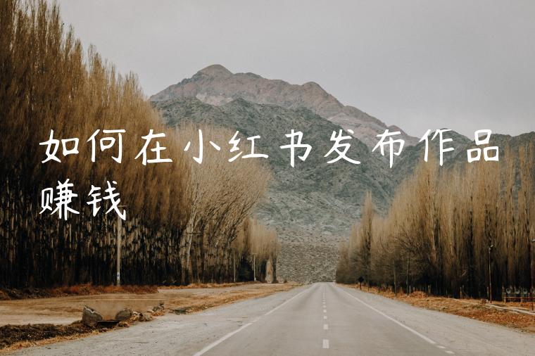 如何在小红书发布作品赚钱 如何在小红书发布作品赚钱