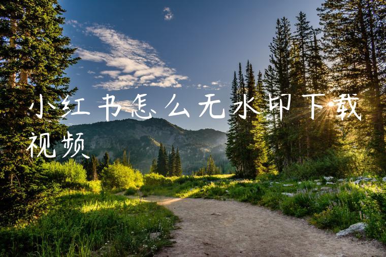小红书怎么无水印下载视频 小红书怎么无水印下载视频