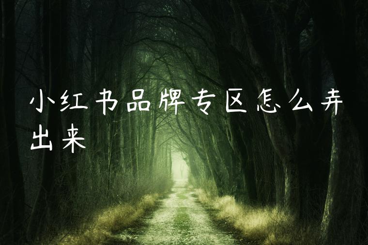 小红书品牌专区怎么弄出来
