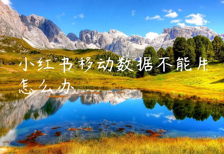 小红书移动数据不能用怎么办