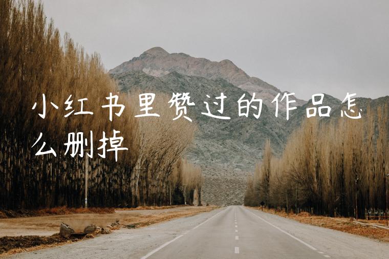 小红书里赞过的作品怎么删掉 小红书里赞过的作品怎么删掉