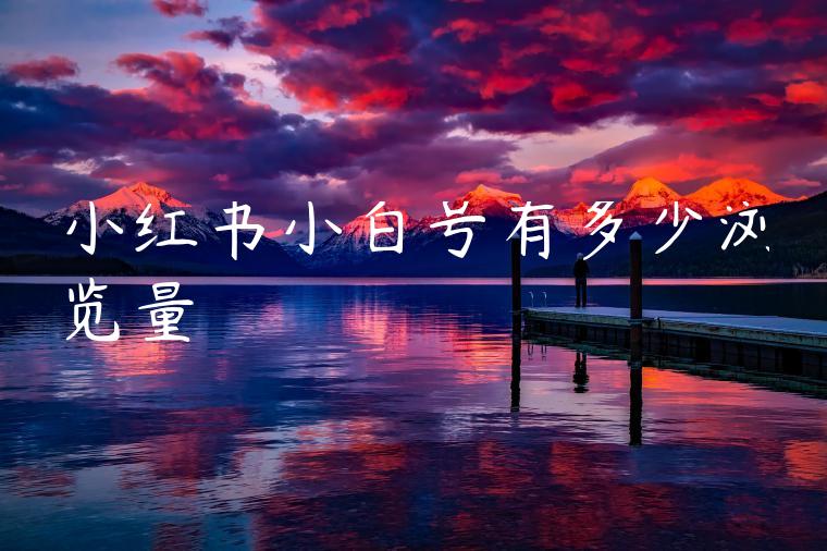 小红书小白号有多少浏览量