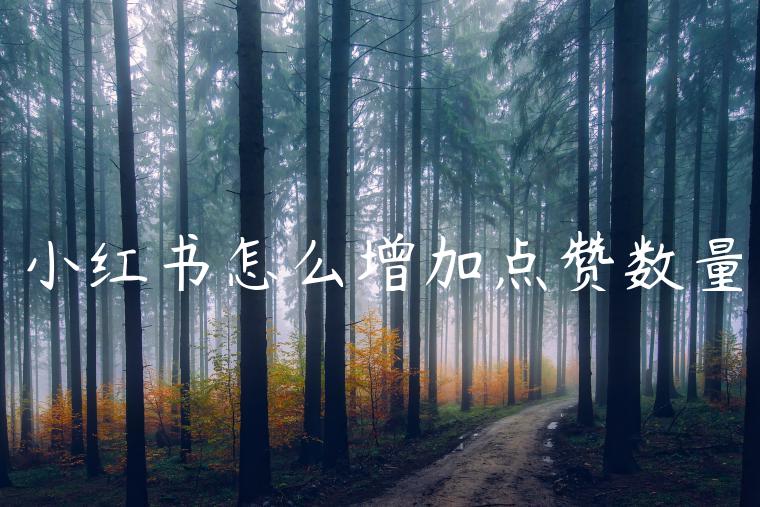 小红书怎么增加点赞数量 小红书怎么增加点赞数量