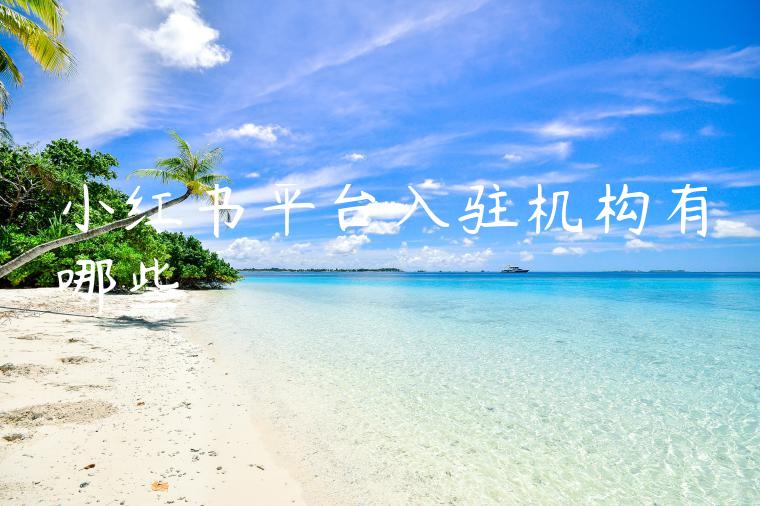 小红书平台入驻机构有哪些