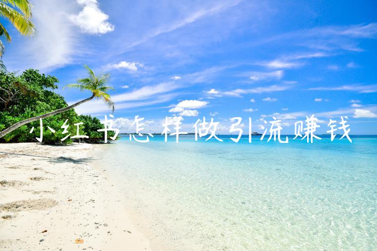 小红书怎样做引流赚钱