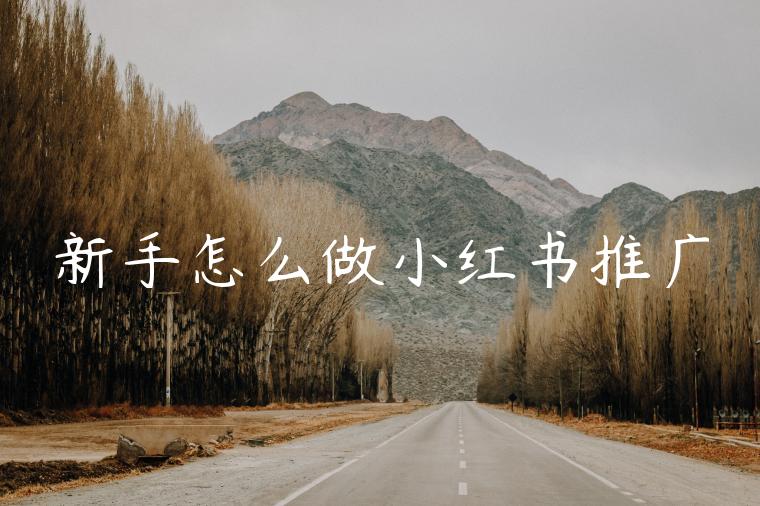 新手怎么做小红书推广 新手怎么做小红书推广