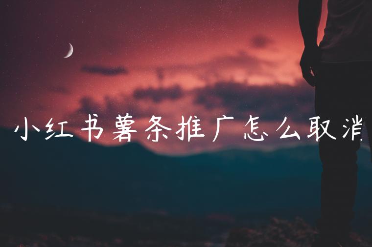 小红书薯条推广怎么取消 小红书薯条推广怎么取消