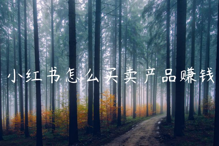 小红书怎么买卖产品赚钱 小红书怎么买卖产品赚钱