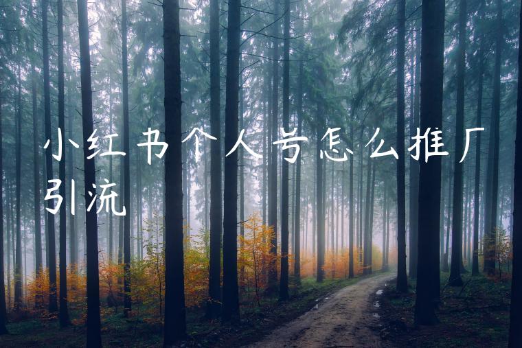 小红书个人号怎么推广引流 小红书个人号怎么推广引流