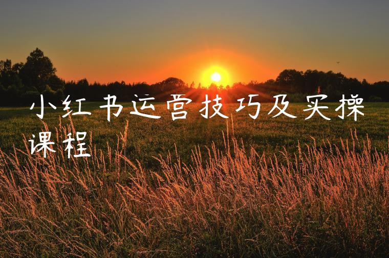 小红书运营技巧及实操课程