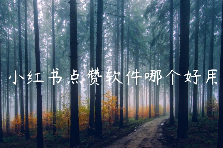 小红书点赞软件哪个好用 小红书点赞软件哪个好用