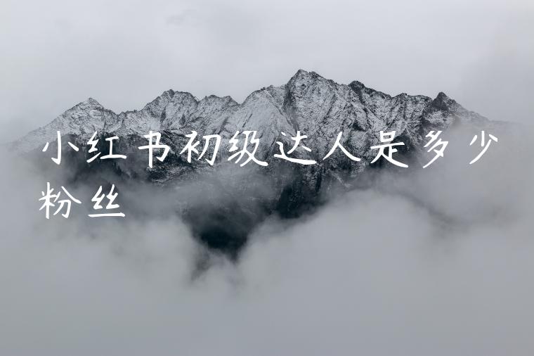 小红书初级达人是多少粉丝 小红书初级达人是多少粉丝