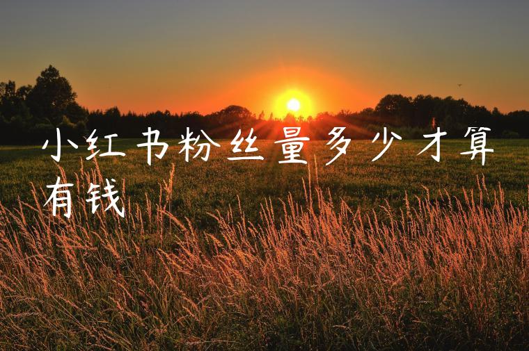 小红书粉丝量多少才算有钱 小红书粉丝量多少才算有钱