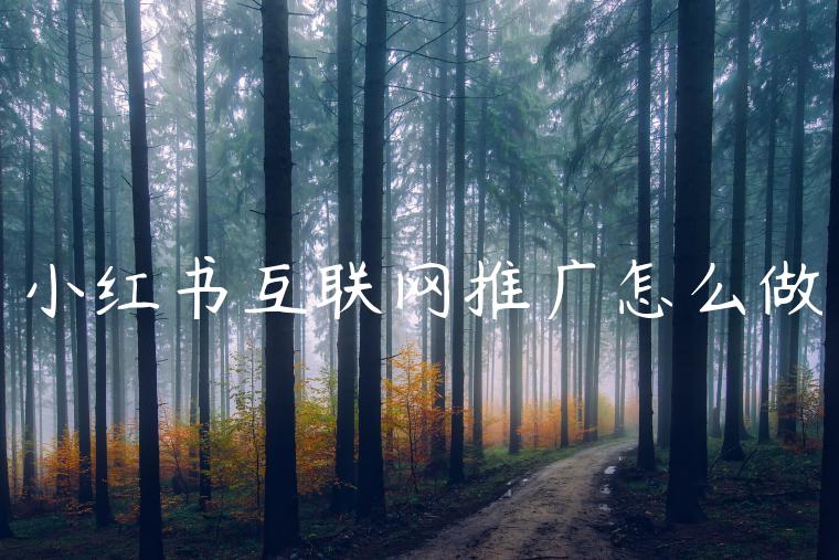 小红书互联网推广怎么做 小红书互联网推广怎么做