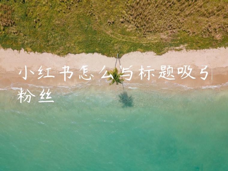 小红书怎么写标题吸引粉丝 小红书怎么写标题吸引粉丝