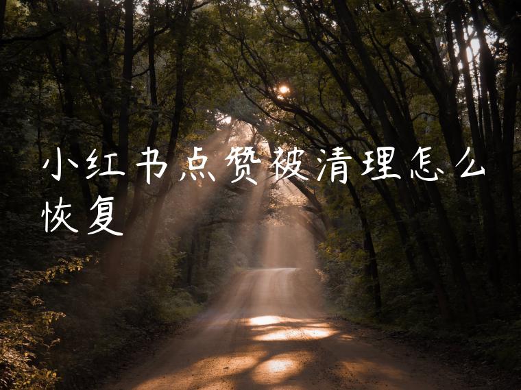 小红书点赞被清理怎么恢复