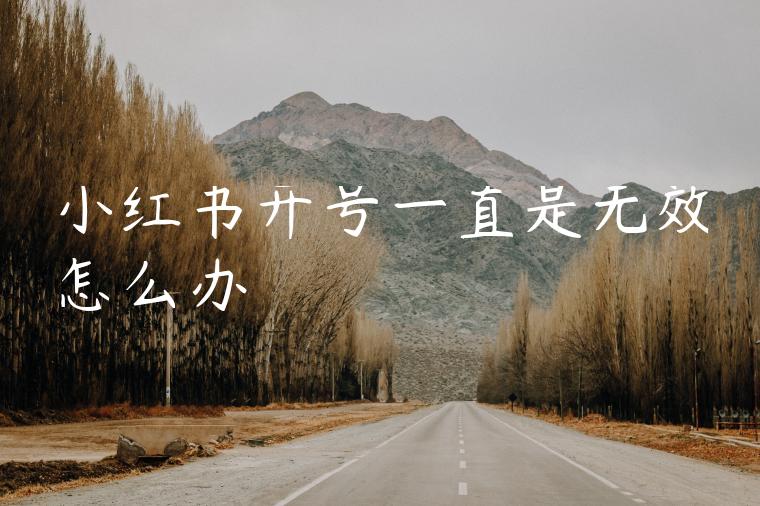 小红书开号一直是无效怎么办 小红书开号一直是无效怎么办