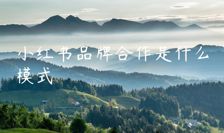 小红书品牌合作是什么模式 小红书品牌合作是什么模式