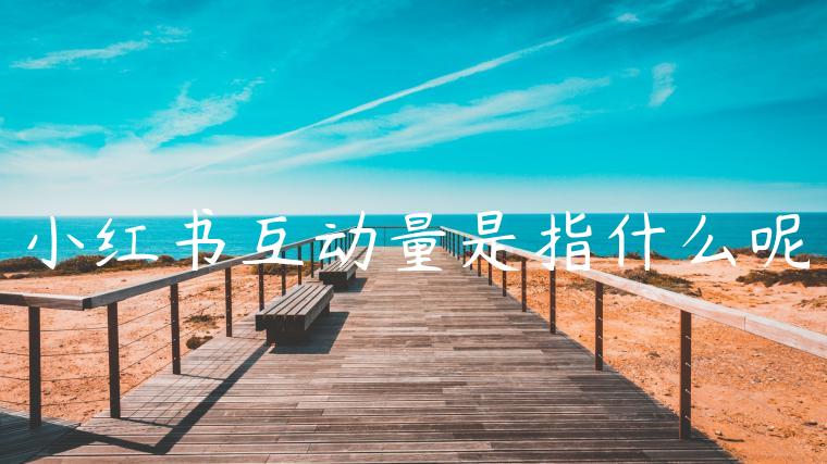 小红书互动量是指什么呢 小红书互动量是指什么呢