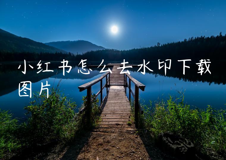 小红书怎么去水印下载图片 小红书怎么去水印下载图片