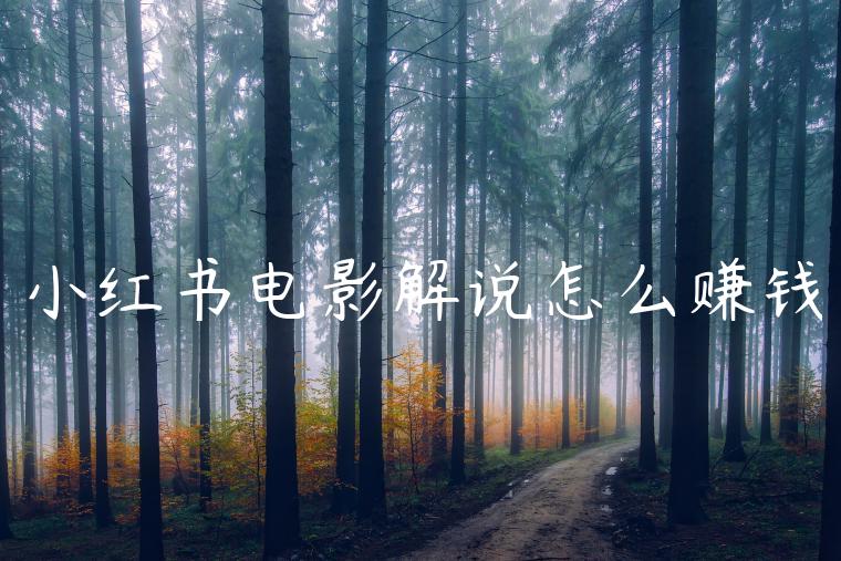 小红书电影解说怎么赚钱 小红书电影解说怎么赚钱