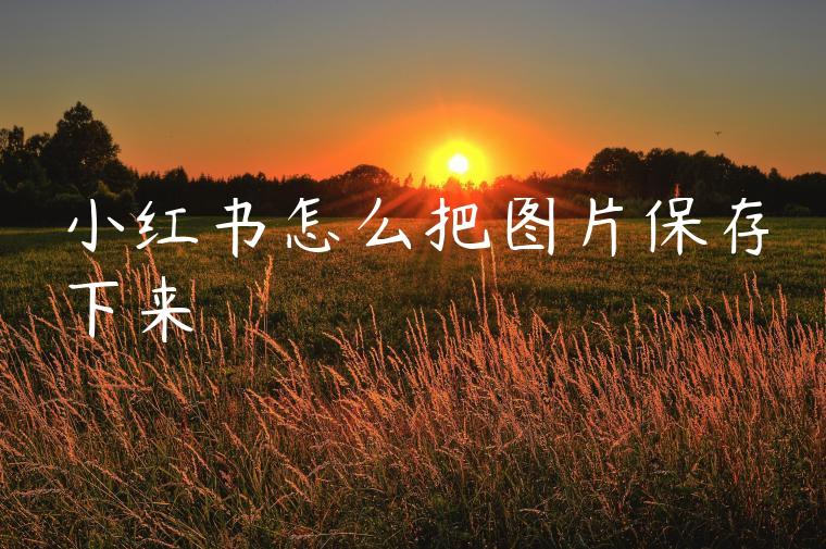 小红书怎么把图片保存下来